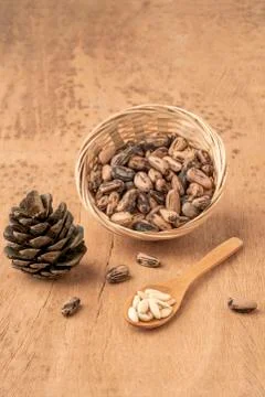 Pine nuts, kernels and cone on wooden table Stock Photos