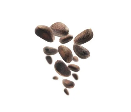 Pine nuts levitate on a white background Stock Photos