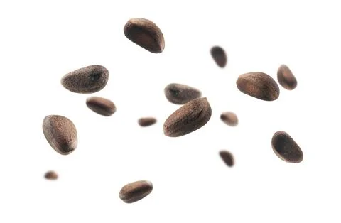 Pine nuts levitate on a white background Stock Photos