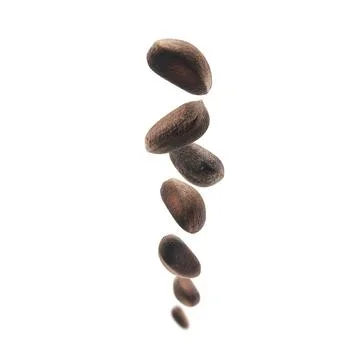 Pine nuts levitate on a white background Stock Photos