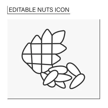 Pine nuts line icon Stock Illustration