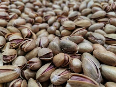 Pine nuts. Nuts. Stock Photos