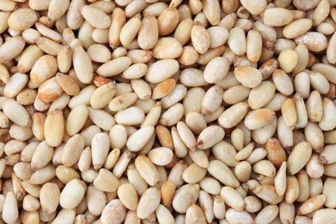Pine nuts Stock Photos
