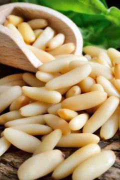 Pine nuts Stock Photos