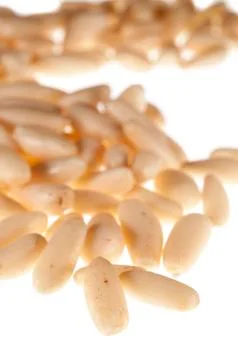 Pine nuts Photos