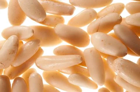 Pine nuts Foto stock