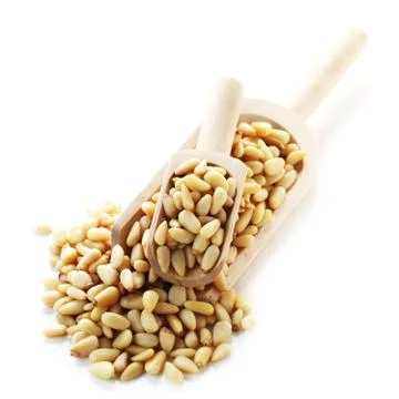 Pine Nuts Stock Photos