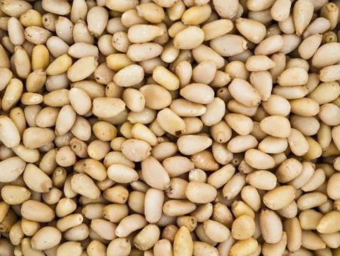 Pine nuts Stock Photos