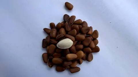 Pine nuts pile with single peeled kernel on white background for food use Stock Photos