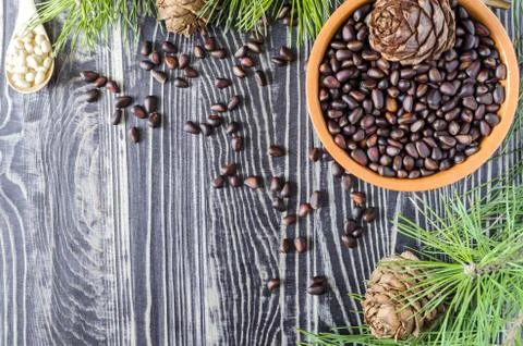Pine nuts pine cones coniferous branches Stock Photos