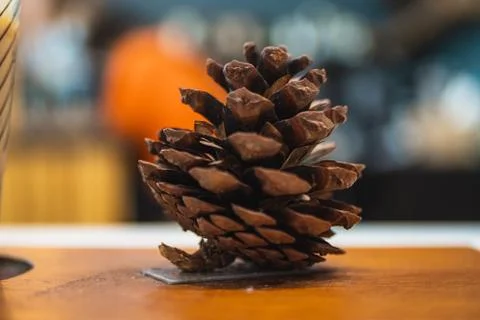 Pine nuts, pine cones decorate on wood plate 스톡 사진