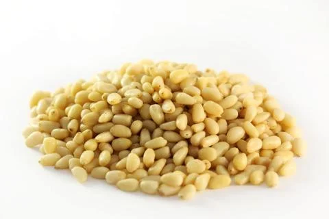 Pine nuts from pine trees Stock Photos