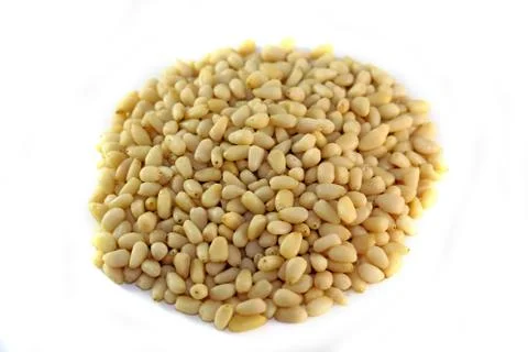 Pine nuts from pine trees Stock Photos