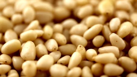 Pine nuts rotate on the surface. View from above. Colors come out of the camera. Stock Footage 94143006