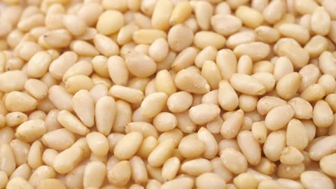 Pine nuts rotating Stock Footage 252984721