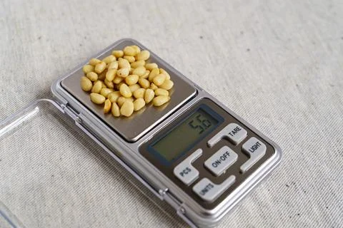 Pine nuts on a scales. Shelled kernels Foto stock