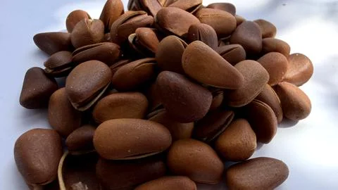 Pine nuts in shell pile natural healthy snack Stock Photos