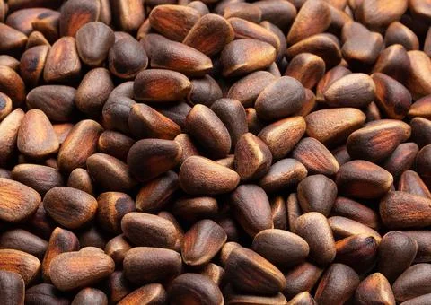 Pine nuts in shell. Texture, background. Top view, close up. Stock Photos