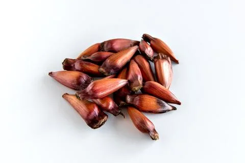 Pine nuts in the shell on white background. Fotos Stock