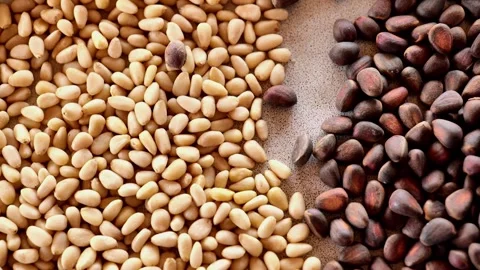 Pine nuts in shells and peeled kernels are poured into a ceramic cup Stock Footage 319846332