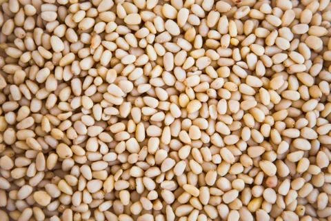 Pine nuts texture. Background with pine nuts. Pattern with pine nuts. Stock Photos