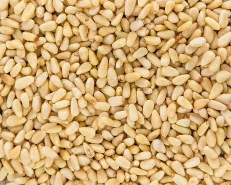 Pine Nuts (for use as background image) Foto stock