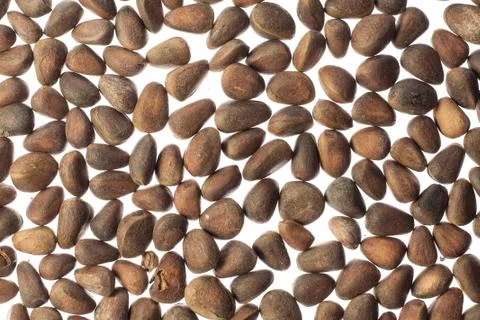Pine nuts on white background Stock Photos
