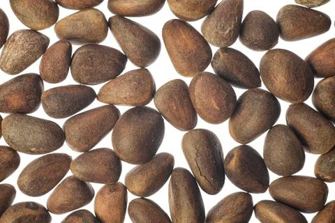 Pine nuts on white background Stock Photos