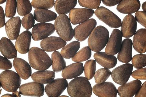 Pine nuts on white background Stock Photos