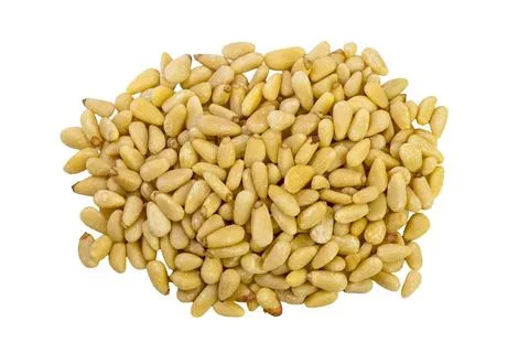 Pine nuts on a white background Stock Photos