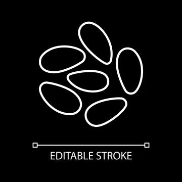 Pine nuts white linear icon for dark theme Stock Illustration