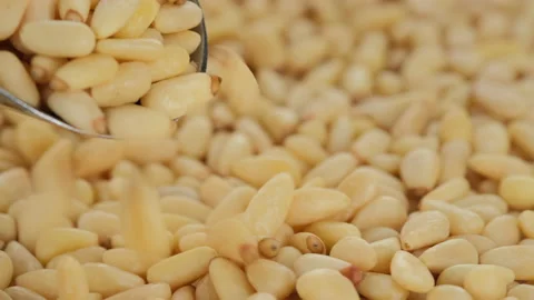 Pine nuts. Whole peeled pine nuts sprinkle and rotate, close up Stock Footage 199801216