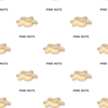 Pine nuts.Different kinds of nuts single icon in cartoon style vector symbol Stock Illustration