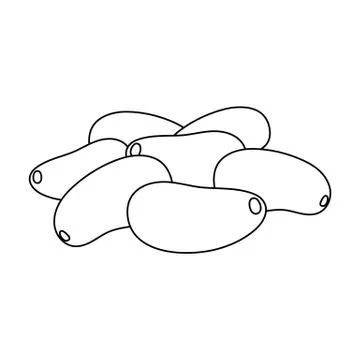 Pine nuts.Different kinds of nuts single icon in outline style vector symbol Stock Illustration