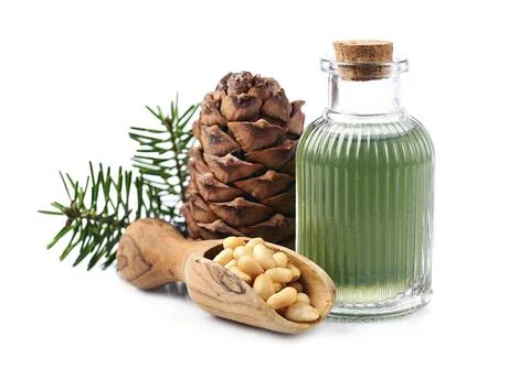 Pine oil and pine nuts with cedar cone Stock Photos