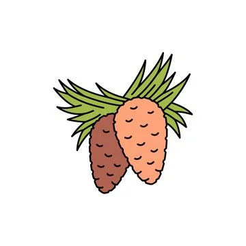 Pine olor line icon. Essential oils fruit seeds. Stock Illustration