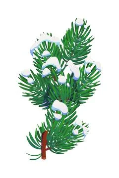 Pine or fir tree branch in winter snow, Christmas Illustrazione stock