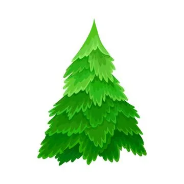 Pine or Fir Tree with Needle Leaves as Forest Element Vector Illustration Stock Illustration
