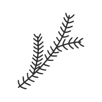 Pine or spruce branch doodle clipart Stock Illustration
