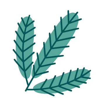 Pine or spruce branch. Flat style vector illustration. Stock Illustration