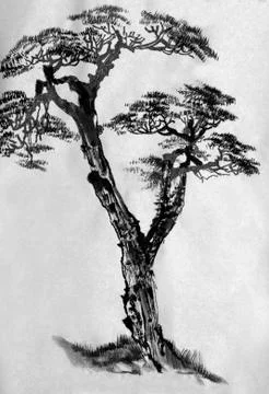 Pine painted in ink Stock Illustration
