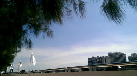 Pine peak flag sky Video stock 38082872