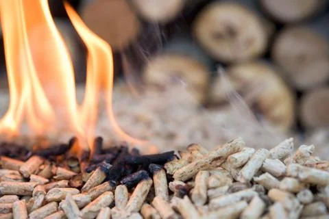 Pine pellets in fire Stock Photos