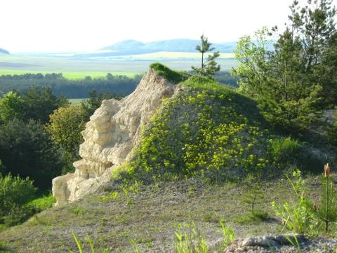 Pine Rock Foto stock