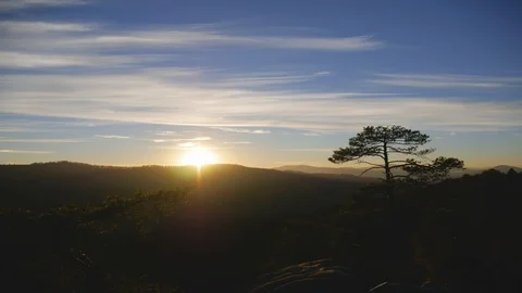 Pine on the rocks against the backdrop of the setting sun in the mountains Stock Footage 102270860