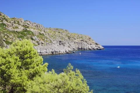 Pine with a rocky bay Stock Photos