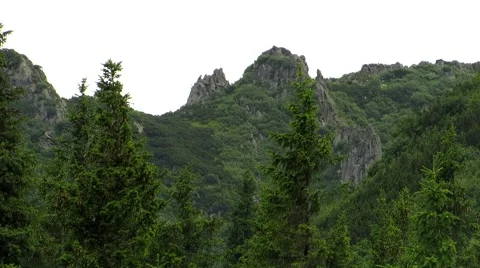 Pine rocky outcrops on the background of mountains Stock Footage 68818654