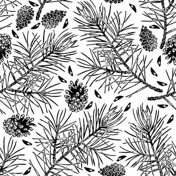 Pine seamless pattern isolated on white. Pinus sylvestris branch, cone, seed. Stockillustratie