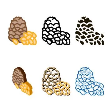 Pine simplified nut icon vector outline Stock Illustration