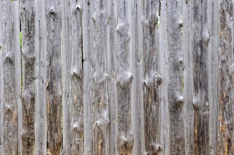 Pine slabs background Stock Photos